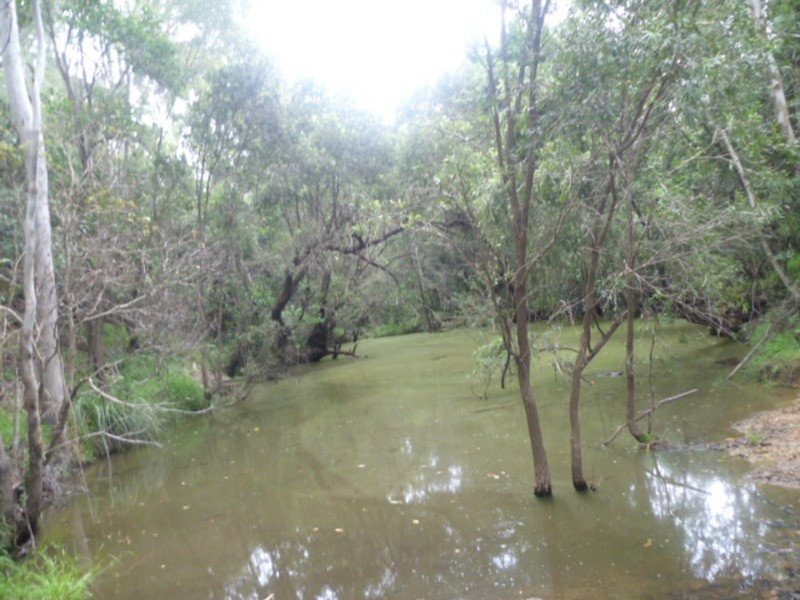 510 Promisedland Road, Promisedland QLD 4660