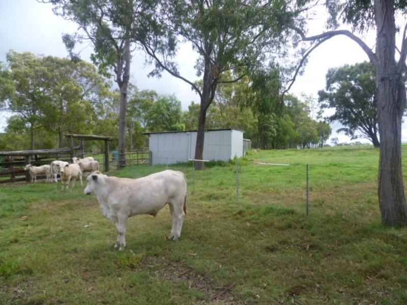 510 Promisedland Road, Promisedland QLD 4660