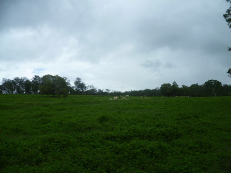 510 Promisedland Road, Promisedland QLD 4660