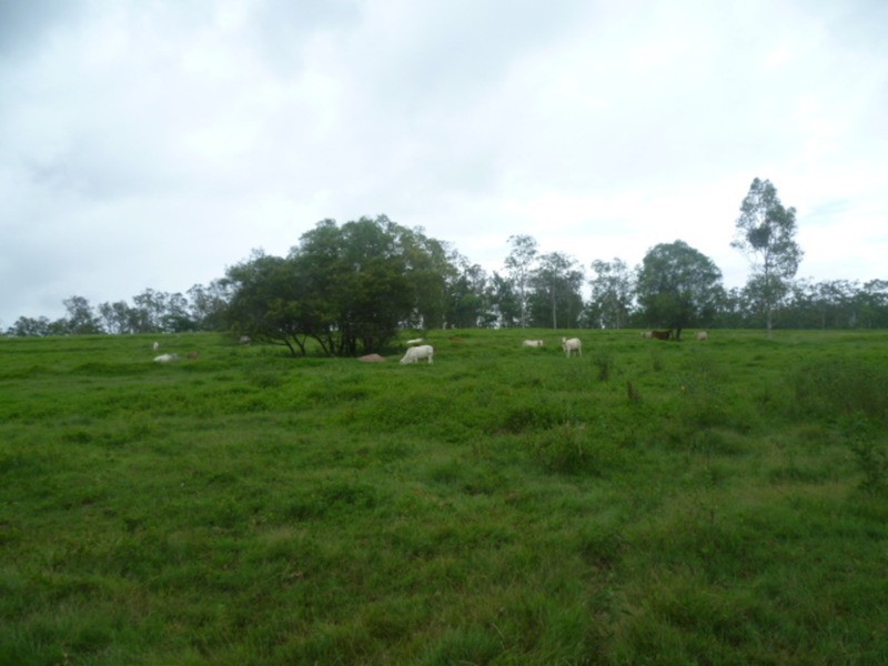 510 Promisedland Road, Promisedland QLD 4660