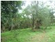 510 Promisedland Road, Promisedland QLD 4660