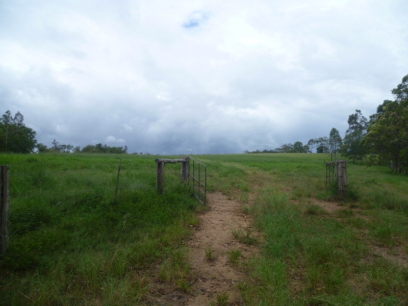 510 Promisedland Road, Promisedland QLD 4660