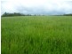 510 Promisedland Road, Promisedland QLD 4660