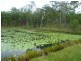 510 Promisedland Road, Promisedland QLD 4660
