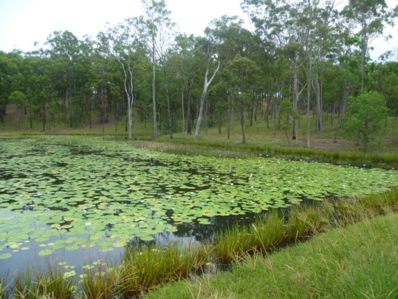 510 Promisedland Road, Promisedland QLD 4660