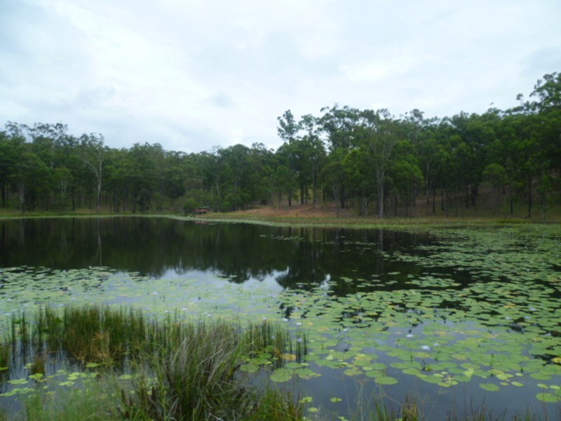510 Promisedland Road, Promisedland QLD 4660