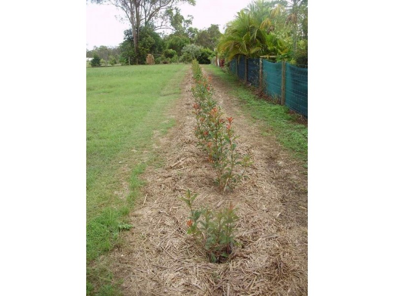 61 Yalla Lane, Childers QLD 4660