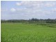 315 Huxley Road, Childers QLD 4660