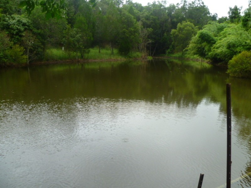 162 Birketts Road, Booyal QLD 4671