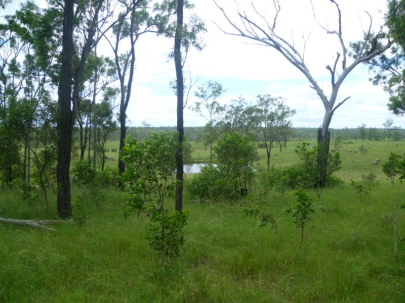 Lot 54 Railway Road, Booyal QLD 4671