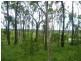 Lot 54 Railway Road, Booyal QLD 4671