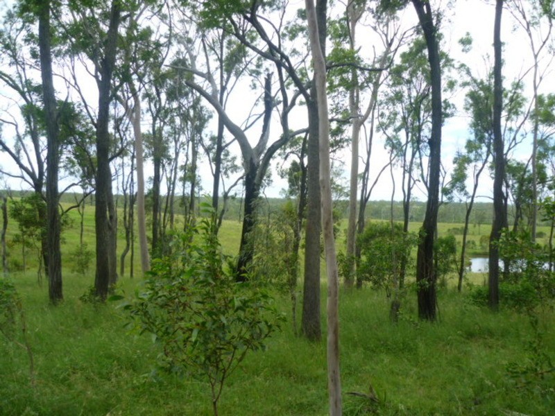 Lot 54 Railway Road, Booyal QLD 4671