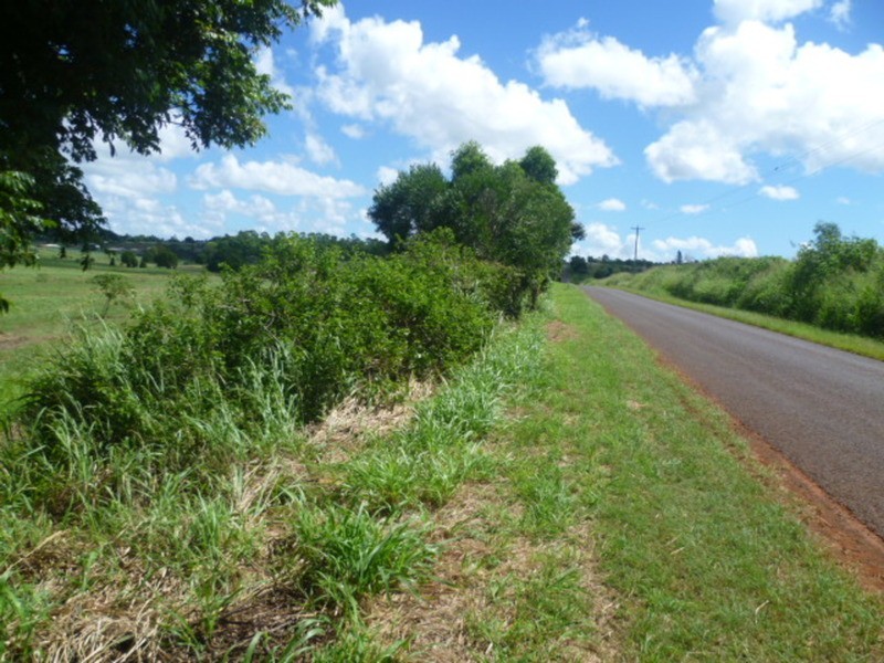 112 Butchers Road, Childers QLD 4660