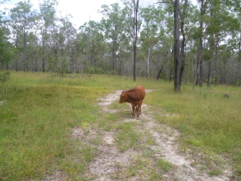 144 Faints Road, Childers QLD 4660
