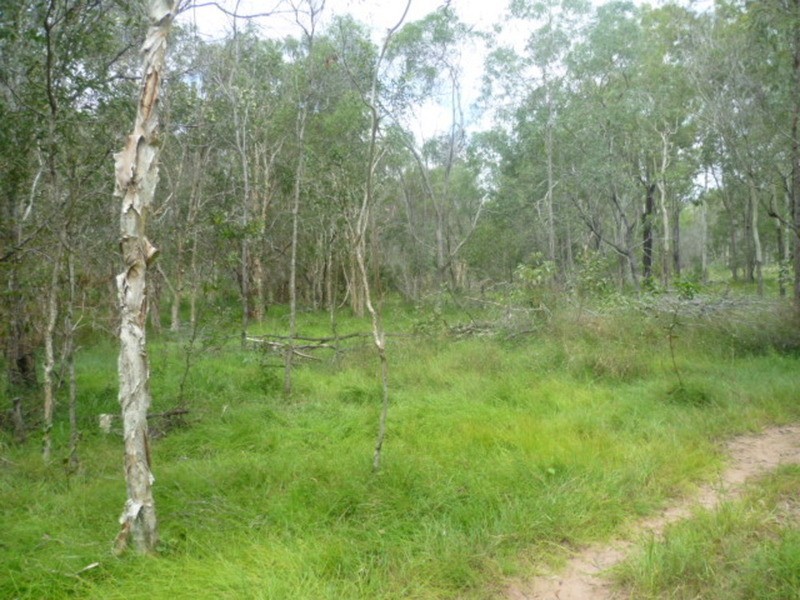 144 Faints Road, Childers QLD 4660