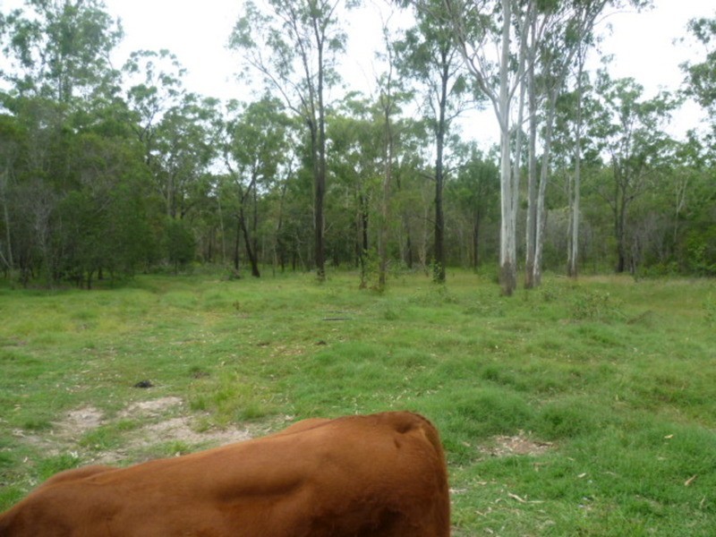 144 Faints Road, Childers QLD 4660