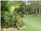 19 Billabong Crescent, Apple Tree Creek QLD 4660