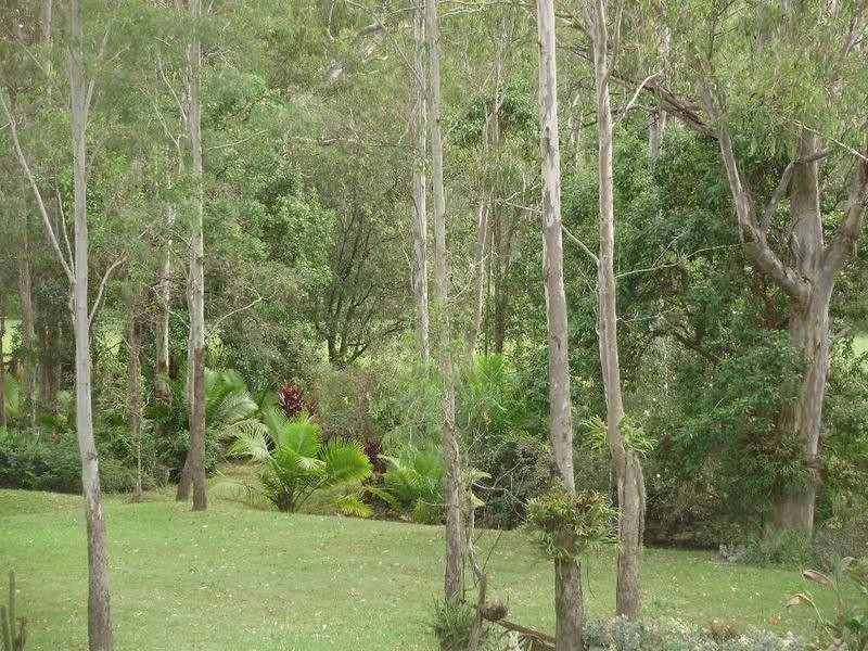 19 Billabong Crescent, Apple Tree Creek QLD 4660