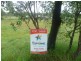 20 Wallace Street, Apple Tree Creek QLD 4660