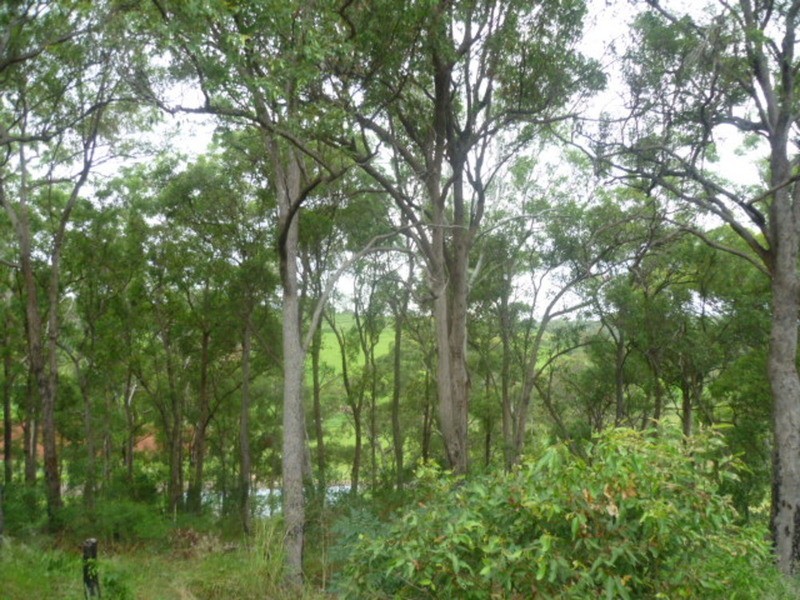 12 Sanctuary Court, Apple Tree Creek QLD 4660