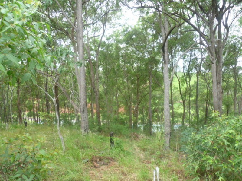 12 Sanctuary Court, Apple Tree Creek QLD 4660