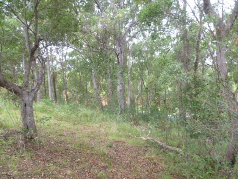 12 Sanctuary Court, Apple Tree Creek QLD 4660