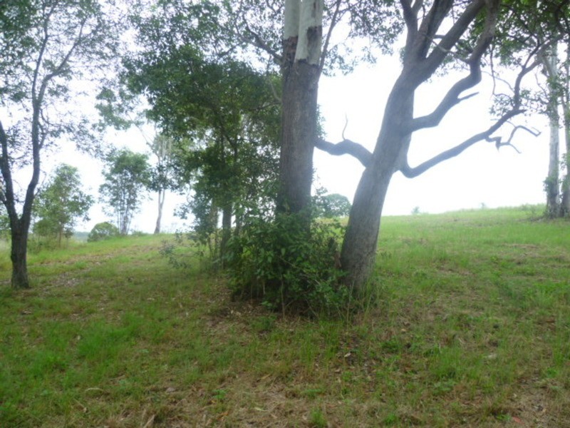 12 Sanctuary Court, Apple Tree Creek QLD 4660