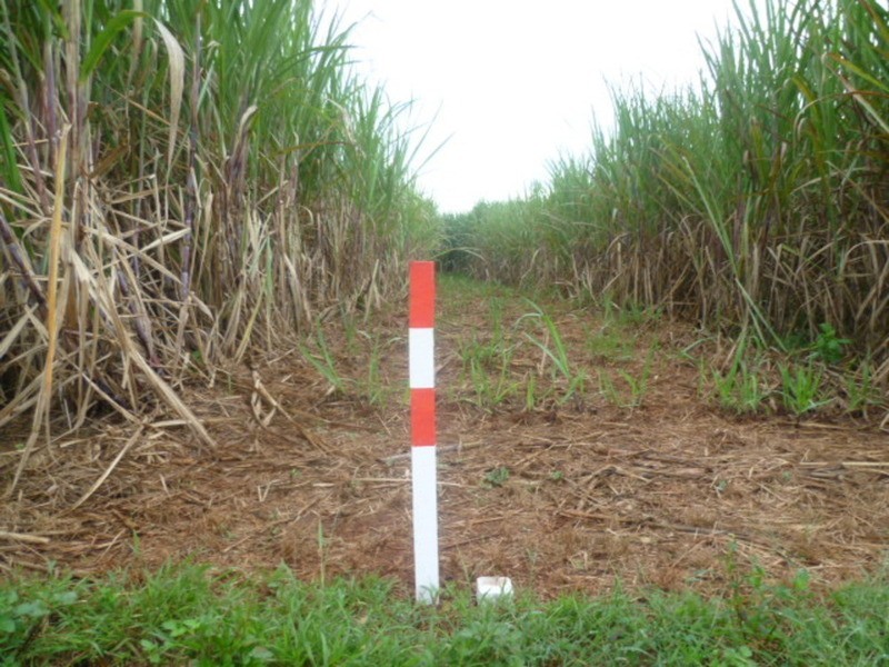 Lot 1 Thompson Road, Childers QLD 4660