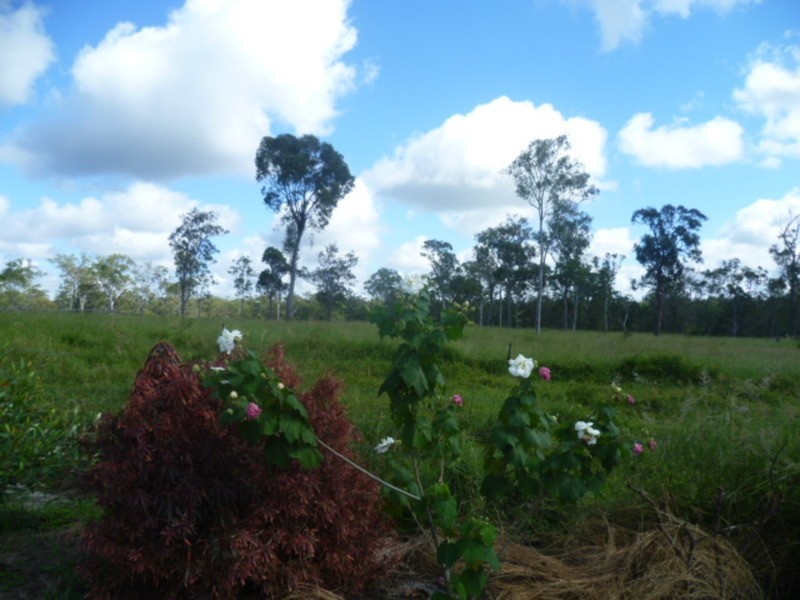 162 Guppys Road, Eureka QLD 4660