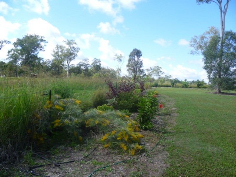 162 Guppys Road, Eureka QLD 4660