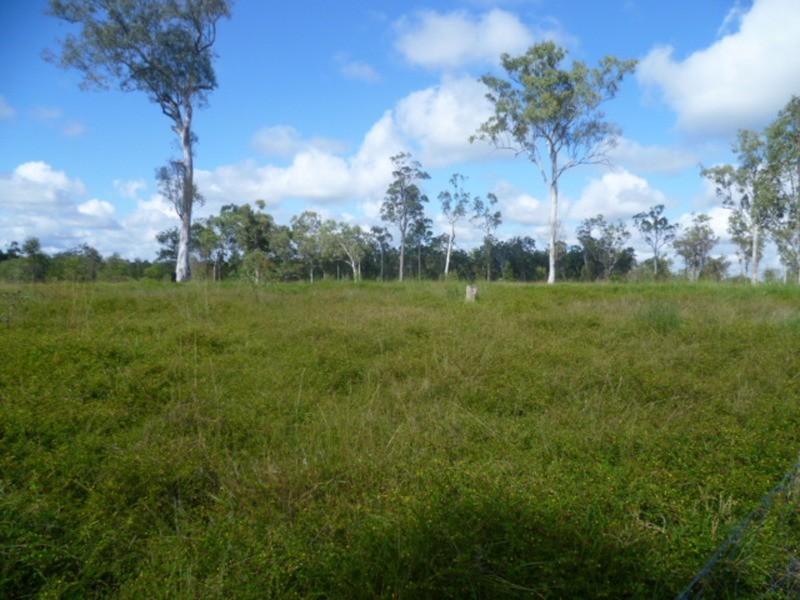 162 Guppys Road, Eureka QLD 4660