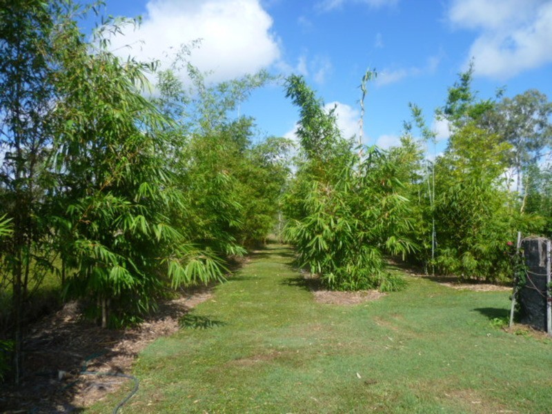 162 Guppys Road, Eureka QLD 4660