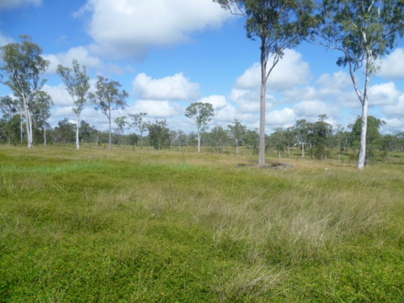 162 Guppys Road, Eureka QLD 4660