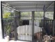 23 Blue Gum Drive, Redridge QLD 4660