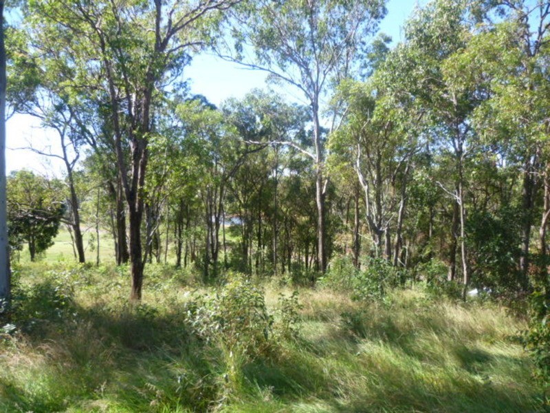 12 Sanctuary Court, Apple Tree Creek QLD 4660