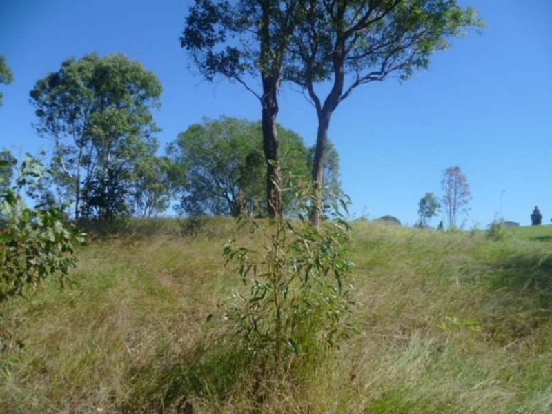 12 Sanctuary Court, Apple Tree Creek QLD 4660