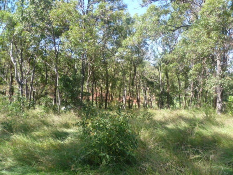 12 Sanctuary Court, Apple Tree Creek QLD 4660