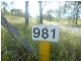 981 Coringa Road, Coringa QLD 4621