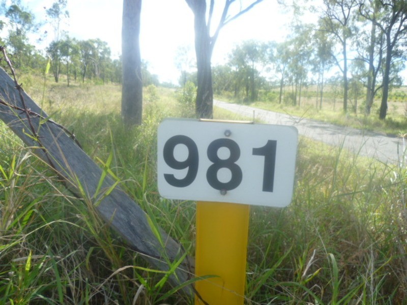 981 Coringa Road, Coringa QLD 4621