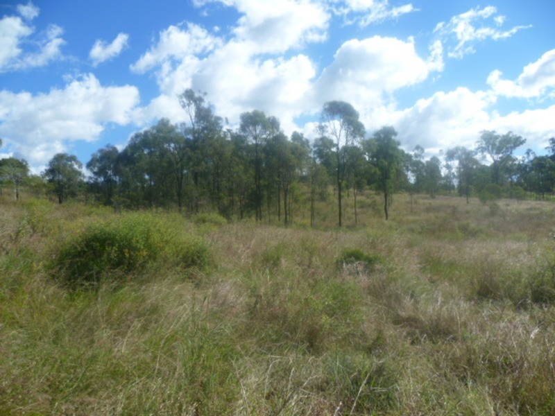 981 Coringa Road, Coringa QLD 4621