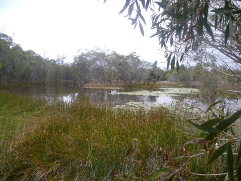 33 Hetheringtons Road, Childers QLD 4660