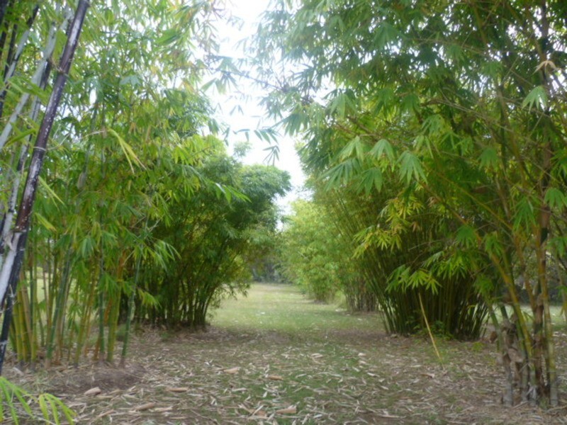 33 Hetheringtons Road, Childers QLD 4660