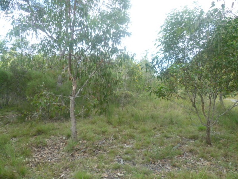 20 Pioneer Road, Buxton QLD 4660