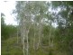 20 Pioneer Road, Buxton QLD 4660