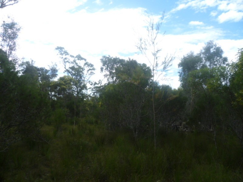 20 Pioneer Road, Buxton QLD 4660