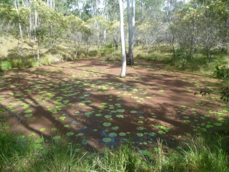 59 Postmans Crossing Road, Isis River QLD 4660