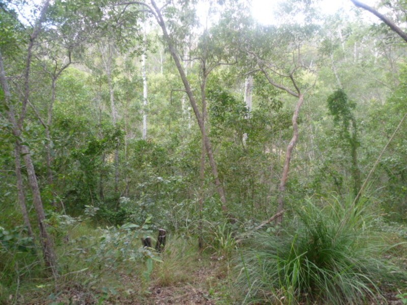59 Postmans Crossing Road, Isis River QLD 4660