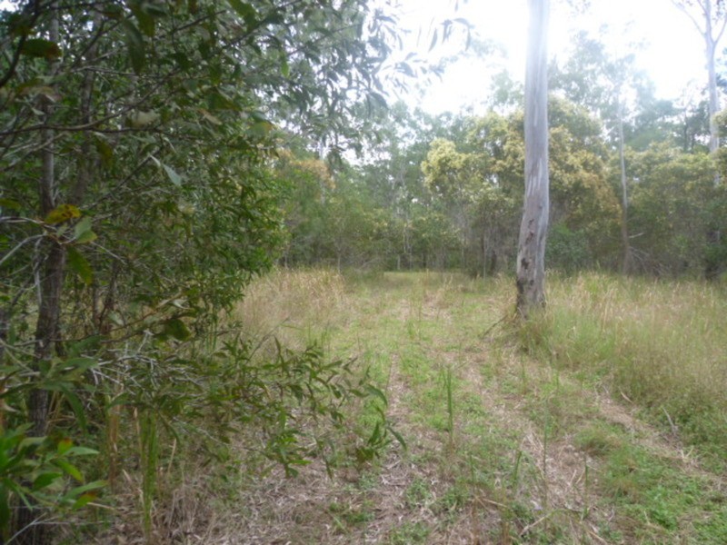 59 Postmans Crossing Road, Isis River QLD 4660