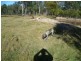 90 Adies Road, Isis Central QLD 4660