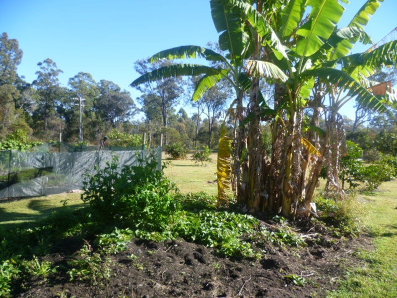 90 Adies Road, Isis Central QLD 4660